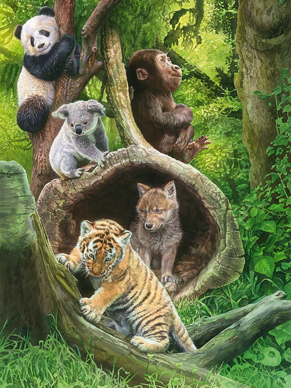 Calendario FATRO 2017