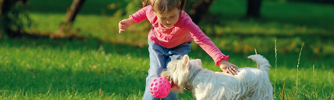 Acquisition of Quadrel