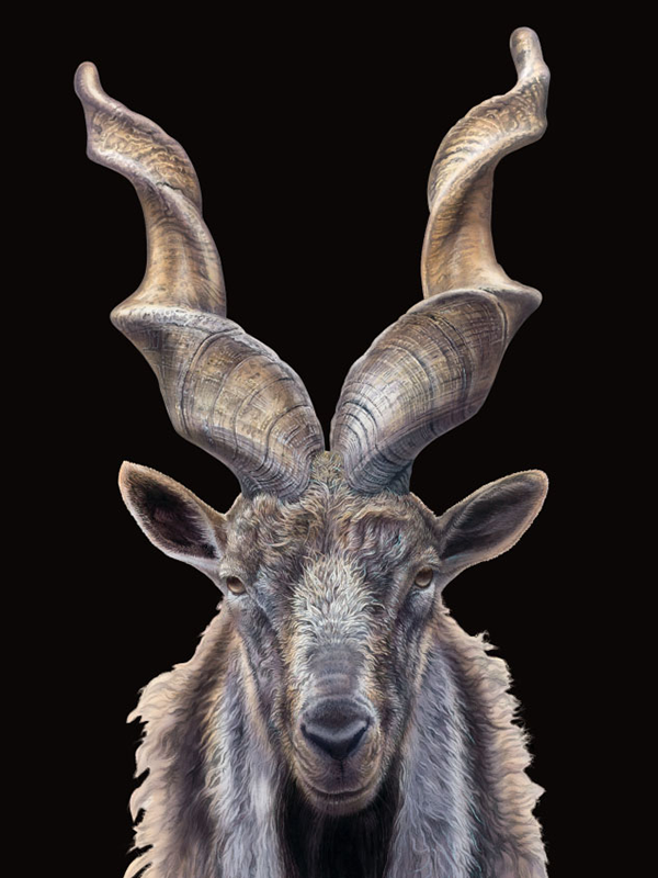 Calendario FATRO 2015