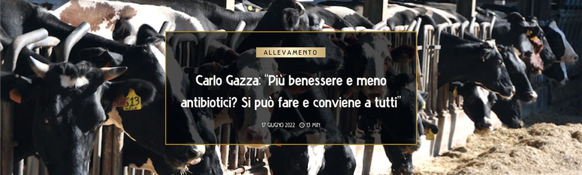 Più benessere e meno antibiotici? Si può fare e conviene a tutti