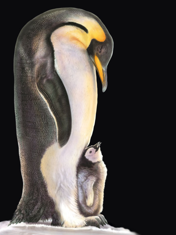 Calendario FATRO 2013