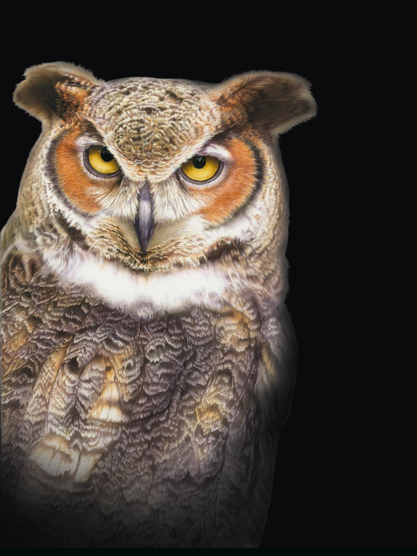 Calendario FATRO 2012