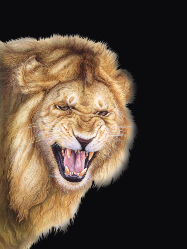 Calendario FATRO 2010