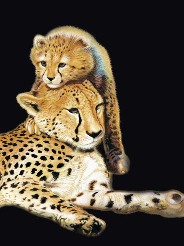 Calendario FATRO 2007