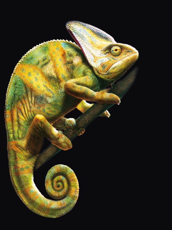 Calendario FATRO 2005