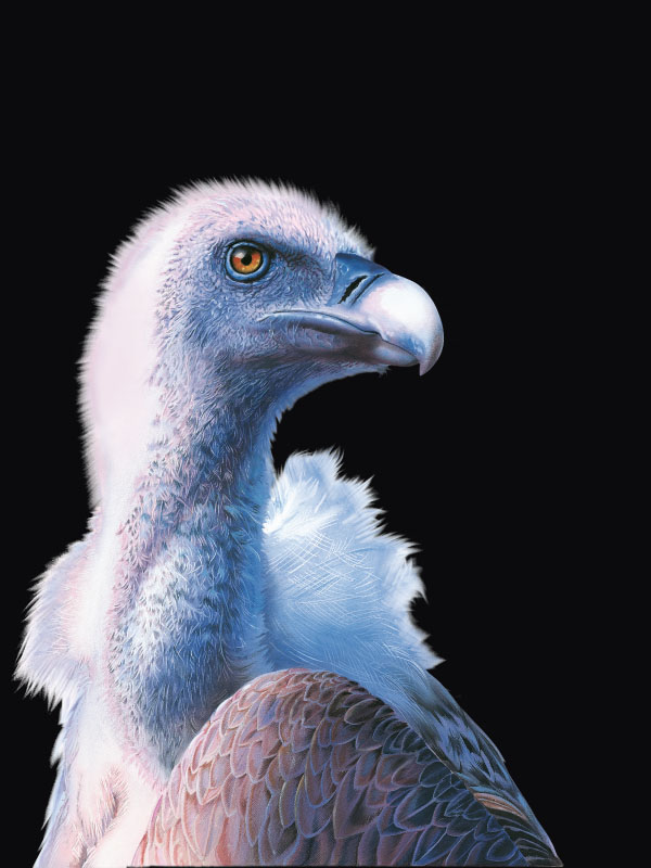 Calendario FATRO 2004